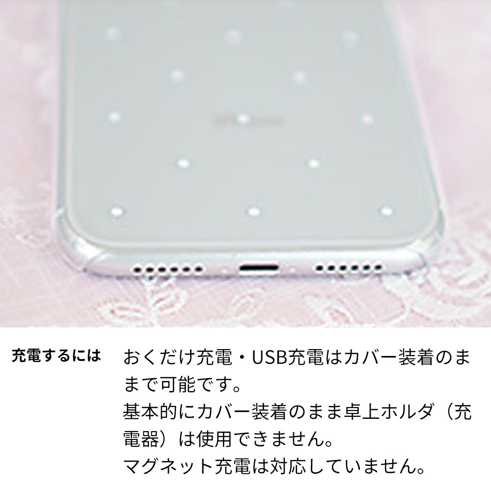 Galaxy S25 Ultra SM-S938Z SoftBank スマホケース ハードケース クリアケース Lady Rabbit