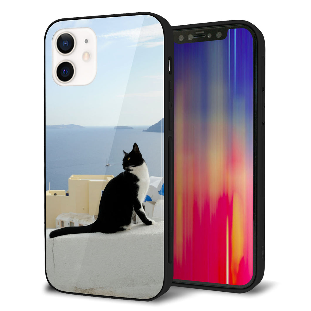 iPhone 12 強化ガラス&TPUスマホケース ガラプリ【VA805 ネコと地中海】
