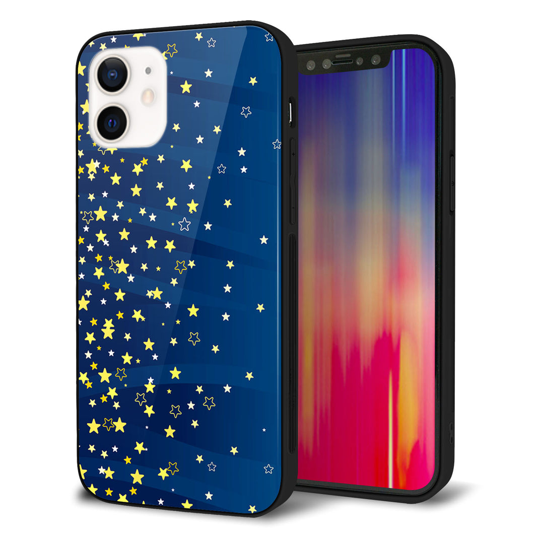 iPhone 12 強化ガラス&TPUスマホケース ガラプリ【VA842 満天の星空】