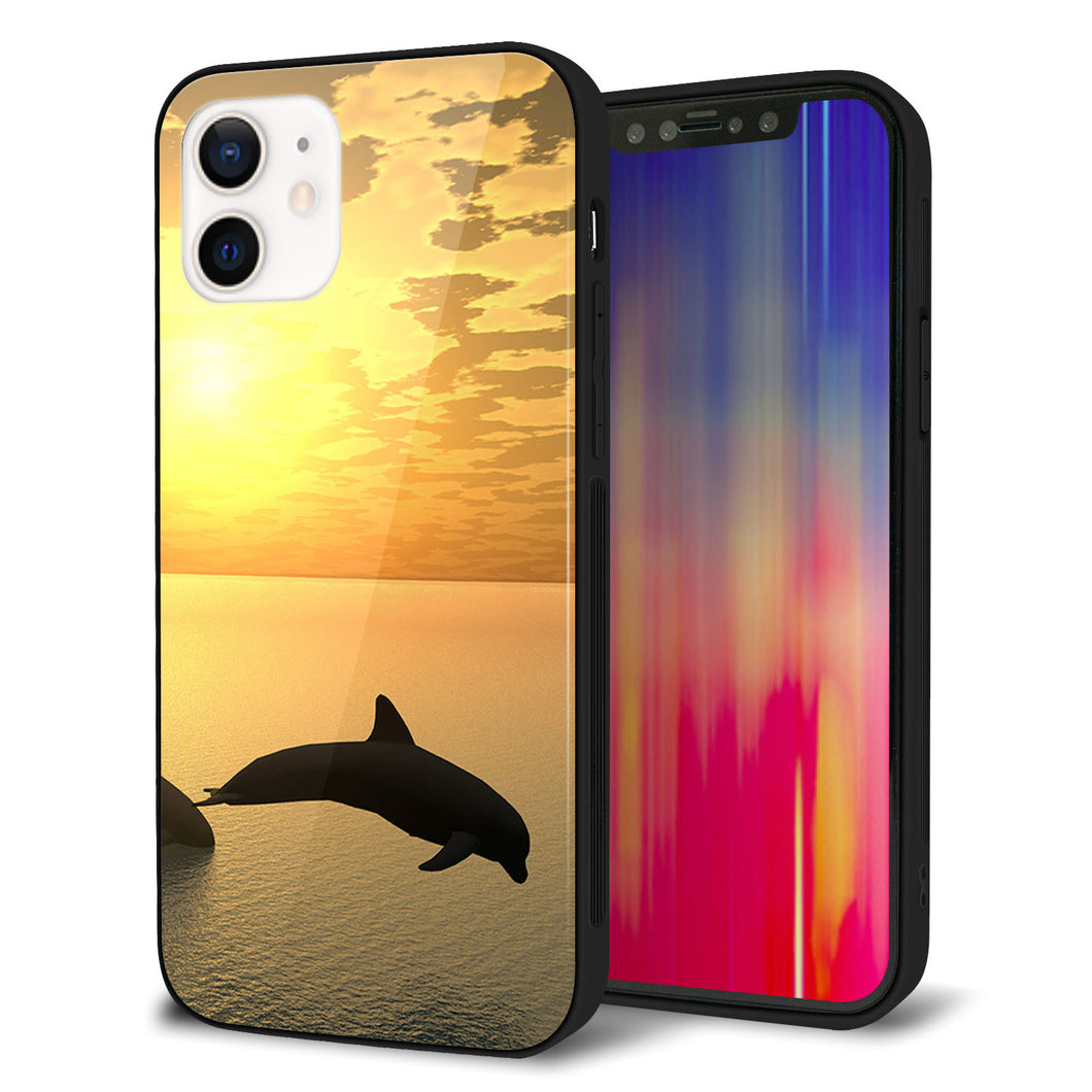 iPhone 12 強化ガラス&TPUスマホケース ガラプリ【VA845 夕暮れのドルフィン】