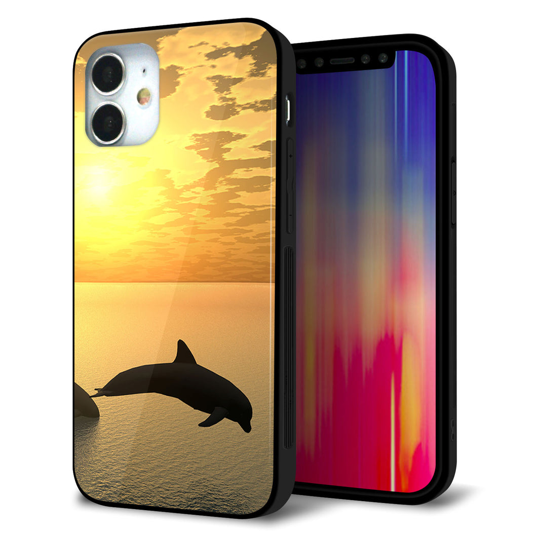 iPhone 12 mini 強化ガラス&TPUスマホケース ガラプリ【VA845 夕暮れのドルフィン】