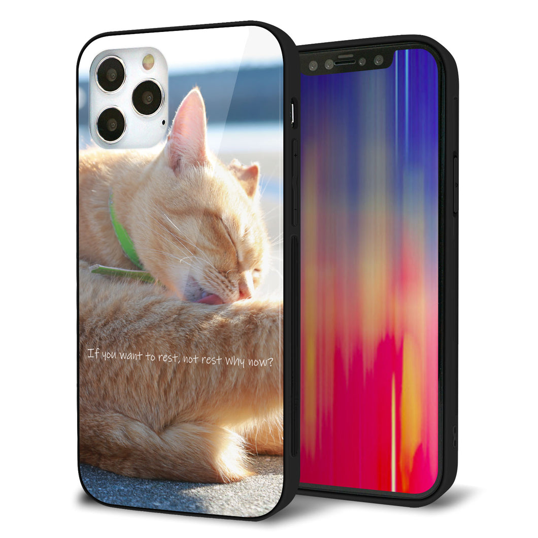 iPhone 12 Pro 強化ガラス&TPUスマホケース ガラプリ【KM876 猫】