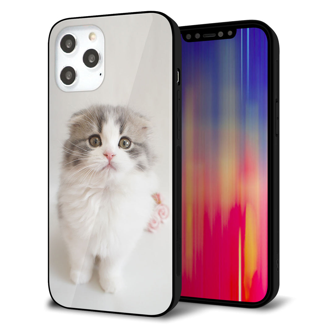 iPhone 12 Pro Max 強化ガラス&TPUスマホケース ガラプリ【VA803 まっていますネコ】
