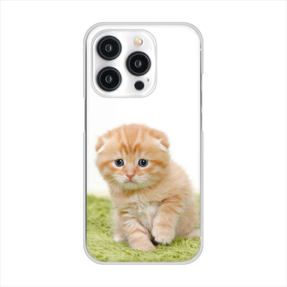 iPhone 15 Pro VA802 ネコこっそり ハードケース 背面印刷
