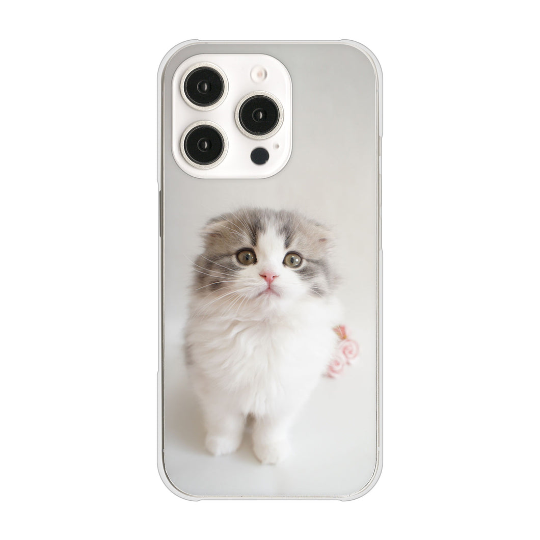 iPhone 16 Pro VA803 まっていますネコ ハードケース 背面印刷