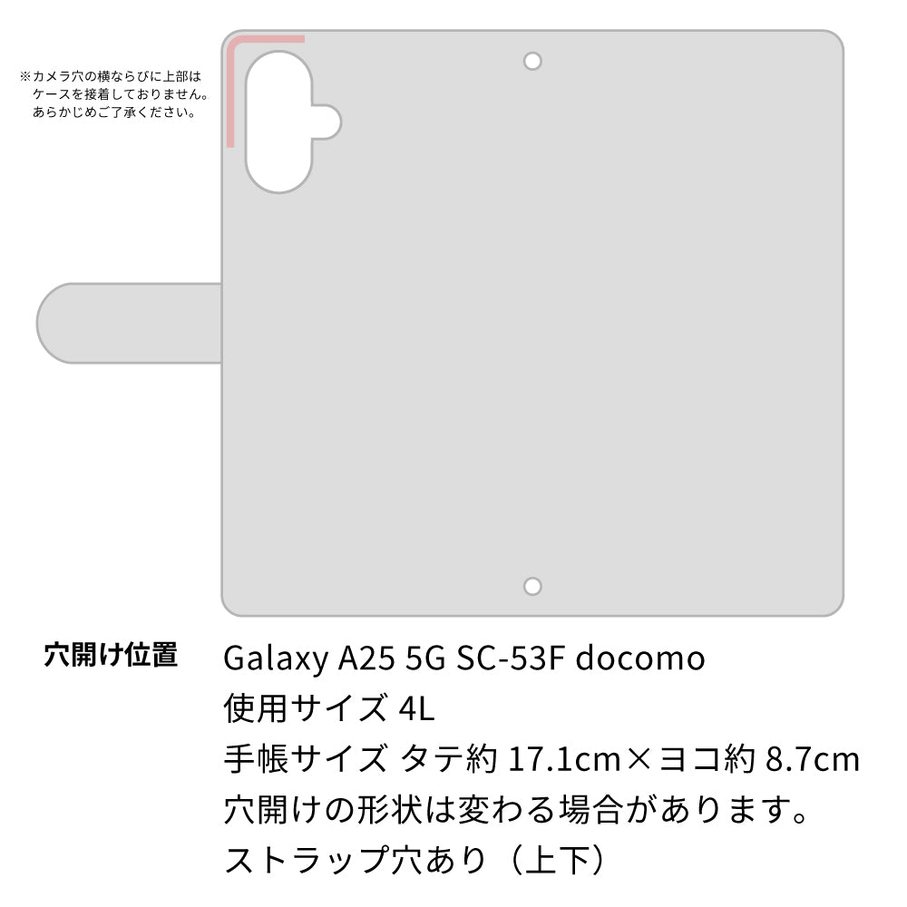 Galaxy A25 5G SC-53F docomo スマホショルダー 手帳型 くすみカラー ミラー スタンド機能付 耐衝撃