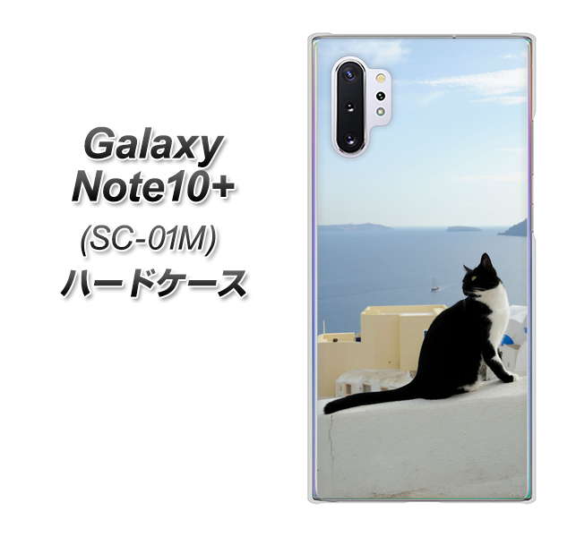 Galaxy Note10+ SC-01M docomo VA805 ネコと地中海 ハードケース 背面印刷