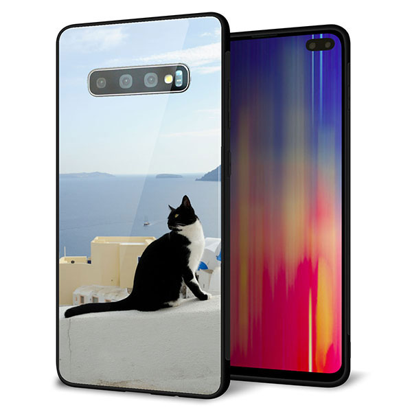 Galaxy S10+ Olympic Games Edition SC-05L docomo 強化ガラス&TPUスマホケース ガラプリ【VA805 ネコと地中海】