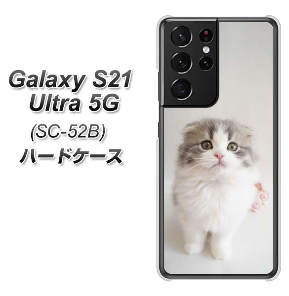 Galaxy S21 Ultra 5G SC-52B docomo VA803 まっていますネコ ハードケース 背面印刷