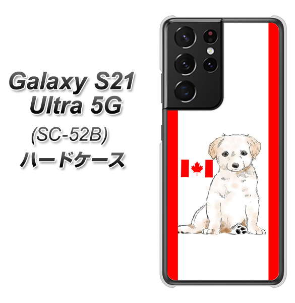 docomo ギャラクシーS21 ウルトラ 5G SC-52B 高画質仕上げ 背面印刷 ハードケース【YD824 ラブラドールレトリバー05】