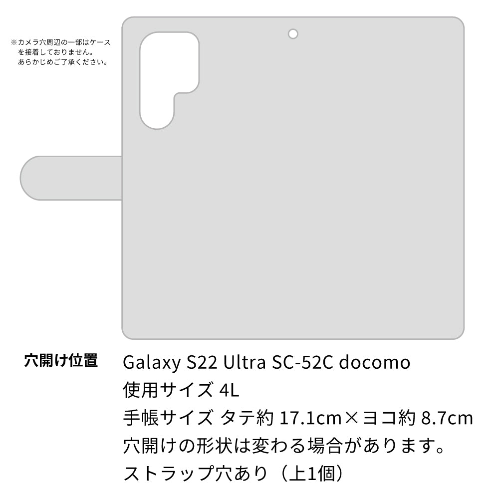 Galaxy S22 Ultra SC-52C docomo 高画質仕上げ プリント手帳型ケース(通常型)【YJ329 魔法陣猫 キラキラ パステル】