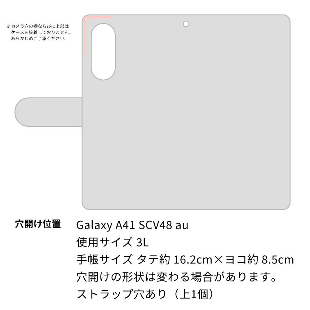 au ギャラクシーA41 SCV48 高画質仕上げ プリント手帳型ケース(通常型)【YF949 カラーレディ10】