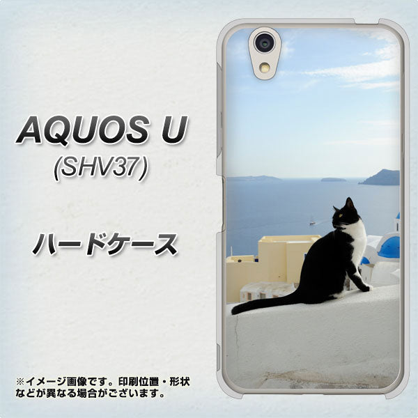 au アクオス U SHV37 高画質仕上げ 背面印刷 ハードケース【VA805 ネコと地中海】