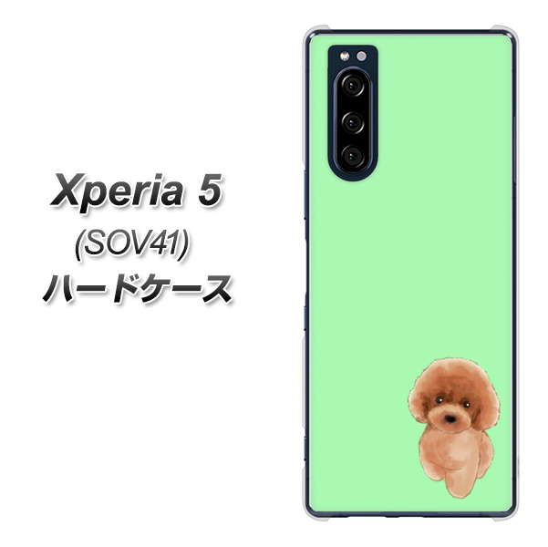 au エクスペリア5 SOV41 高画質仕上げ 背面印刷 ハードケース【YJ052 トイプードルレッド( グリーン)】