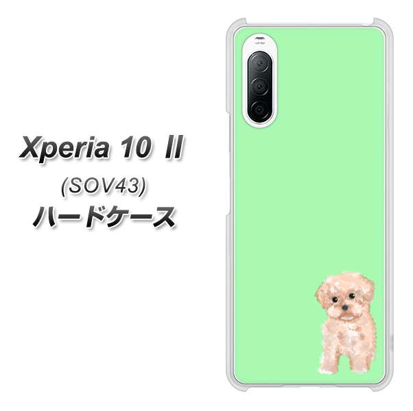 au エクスペリア10 II SOV43 高画質仕上げ 背面印刷 ハードケース【YJ063 トイプードルアプリコット(グリーン)】