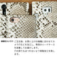 Galaxy S25 Ultra SC-52F docomo ダイヤモンドパイソン（本革） 手帳型ケース