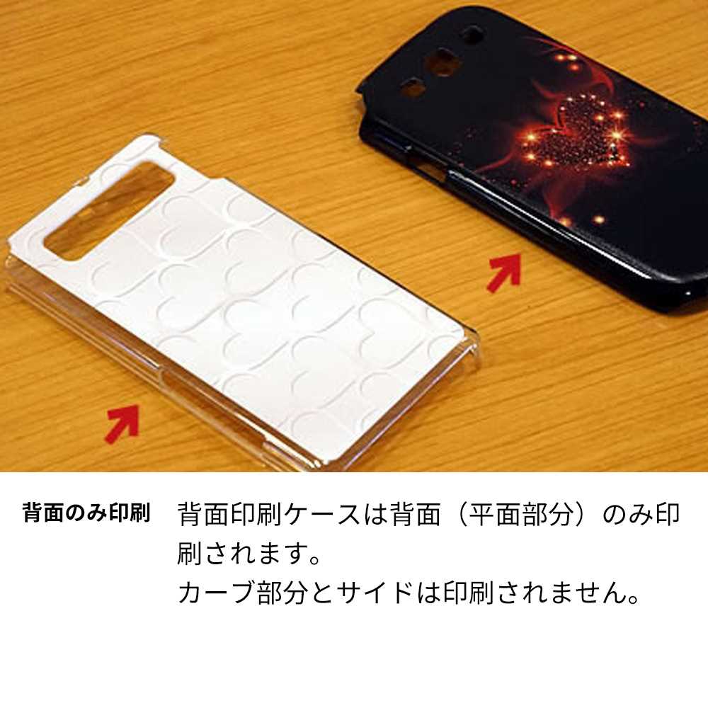 AQUOS sense9 SH-53E docomo 高画質仕上げ 背面印刷 ハードケース 【VA800 ネコとバケツ】