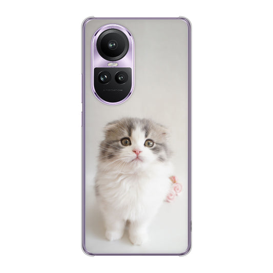 OPPO Reno10 Pro 5G A302OP SoftBank VA803 まっていますネコ ハードケース 背面印刷