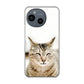 AQUOS sense9 A405SH SoftBank VA801 笑福ねこ ハードケース 背面印刷