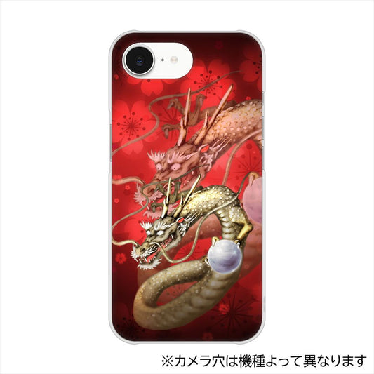かんたんスマホ5 A601ZT Y!mobile 龍 ハードケース 背面印刷