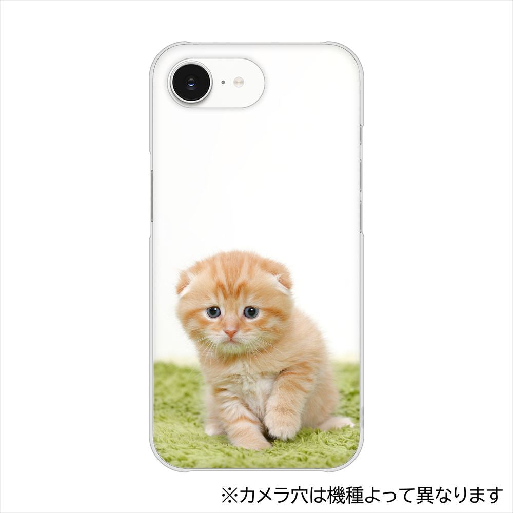 かんたんスマホ5 A601ZT Y!mobile VA802 ネコこっそり ハードケース 背面印刷