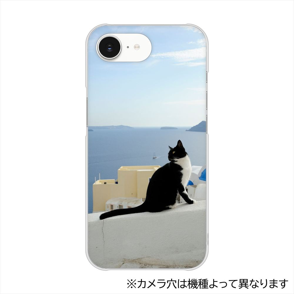 OPPO Reno15 A CPH2801 VA805 ネコと地中海 ハードケース 背面印刷