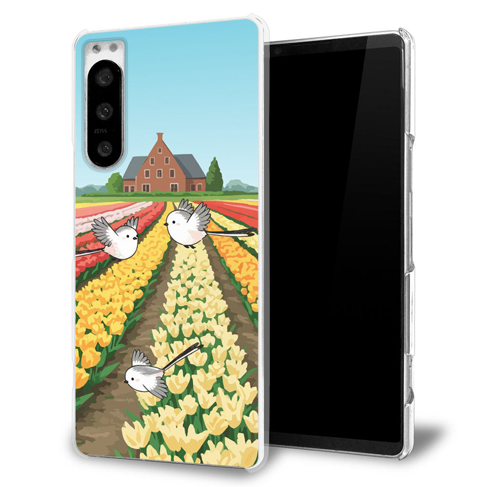 かんたんスマホ3 A205KC Y!mobile シマエナガとかわいい時間 透明クリアハードケース