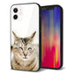 iPhone 12 強化ガラス＆TPUスマホケース ガラプリ【VA801 笑福ねこ】