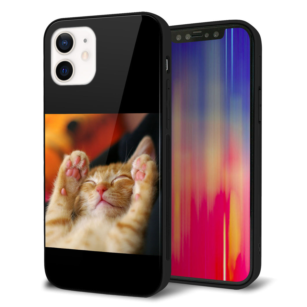 iPhone 12 強化ガラス＆TPUスマホケース ガラプリ【VA804 爆睡するネコ】