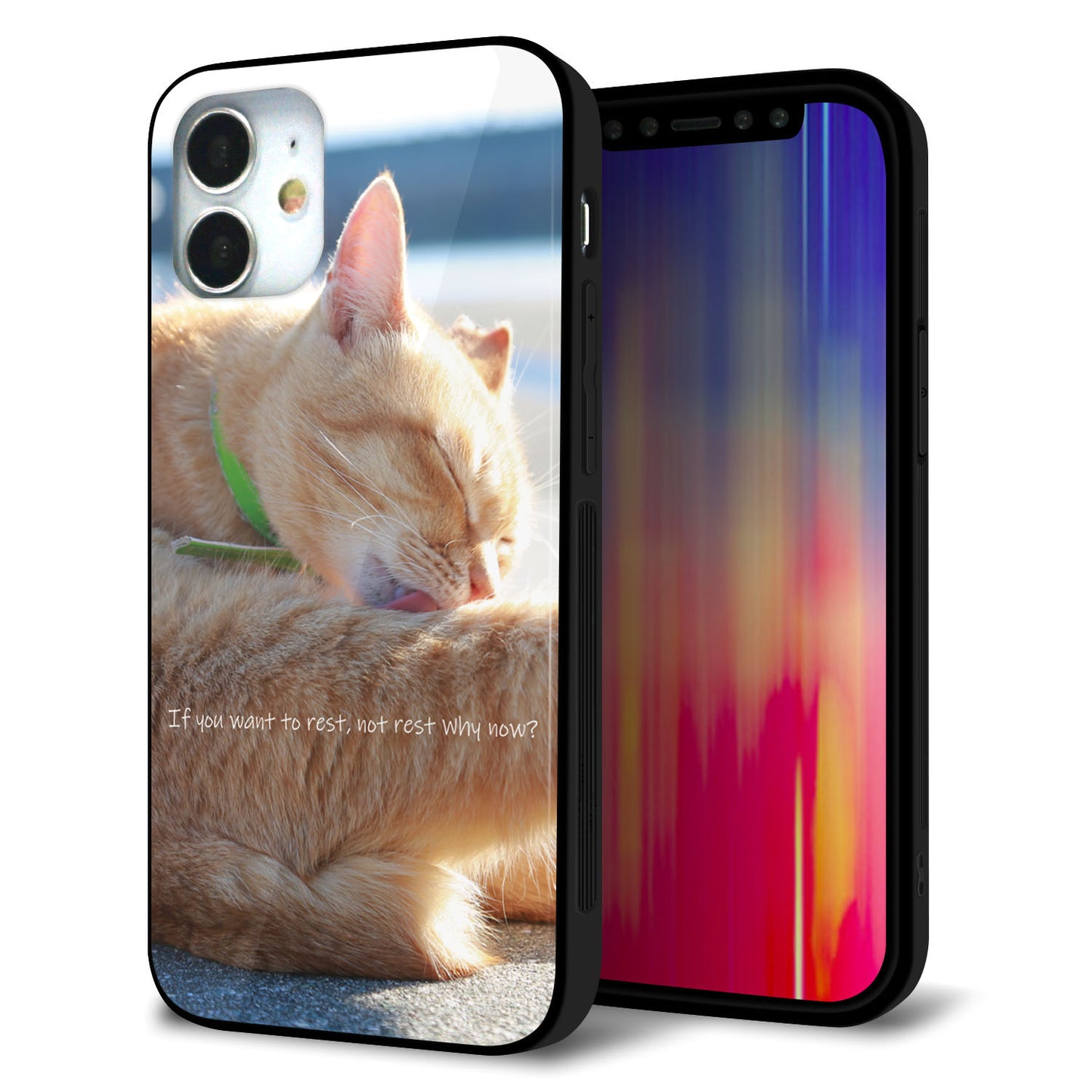 iPhone 12 mini 強化ガラス＆TPUスマホケース ガラプリ【KM876 猫】