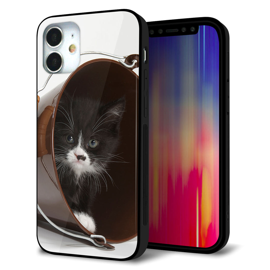 iPhone 12 mini 強化ガラス＆TPUスマホケース ガラプリ【VA800 ネコとバケツ】
