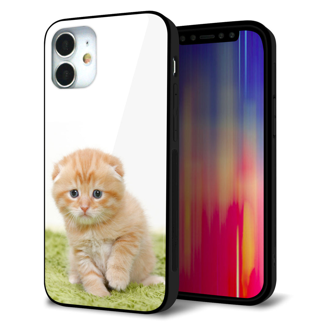 iPhone 12 mini 強化ガラス＆TPUスマホケース ガラプリ【VA802 ネコこっそり】