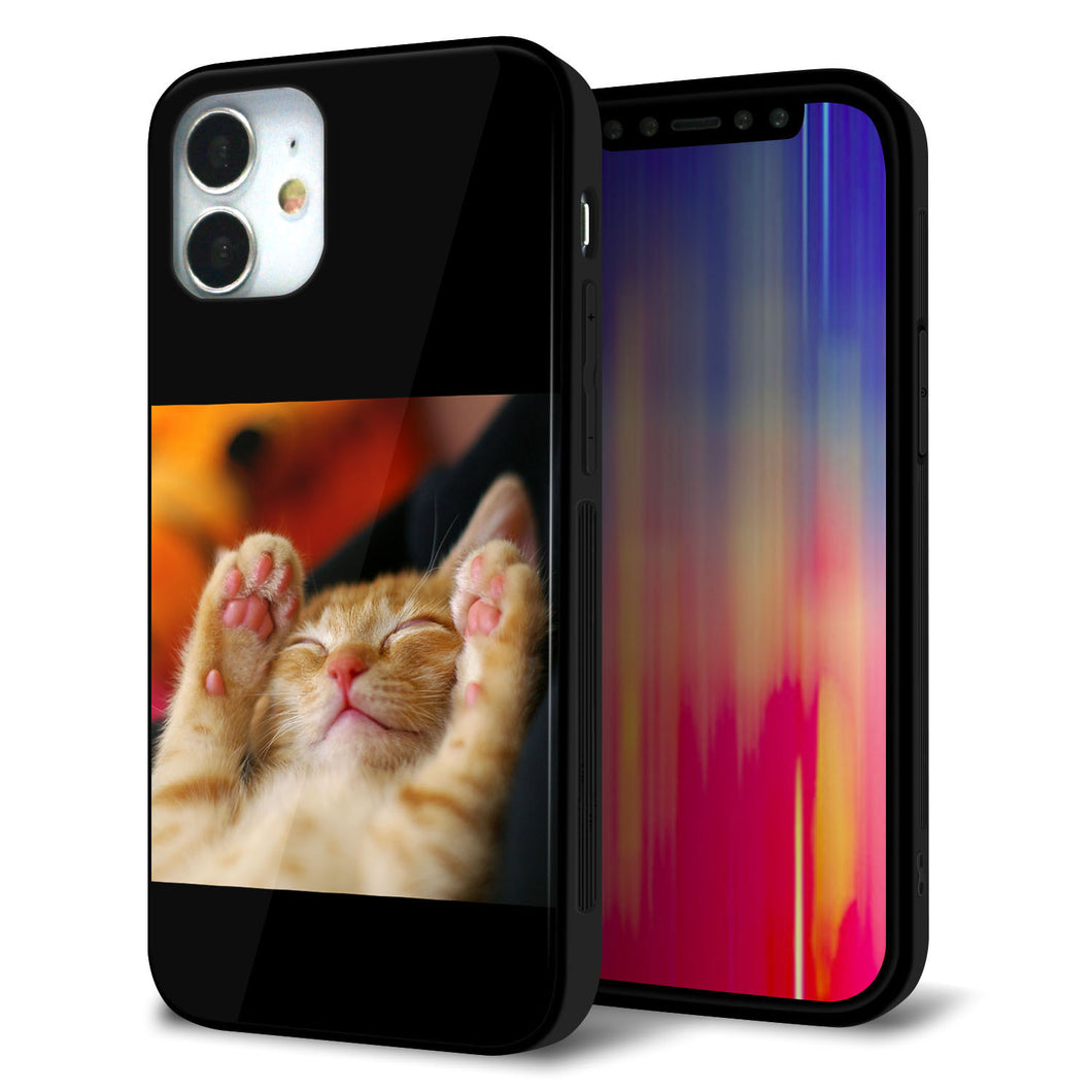 iPhone 12 mini 強化ガラス＆TPUスマホケース ガラプリ【VA804 爆睡するネコ】