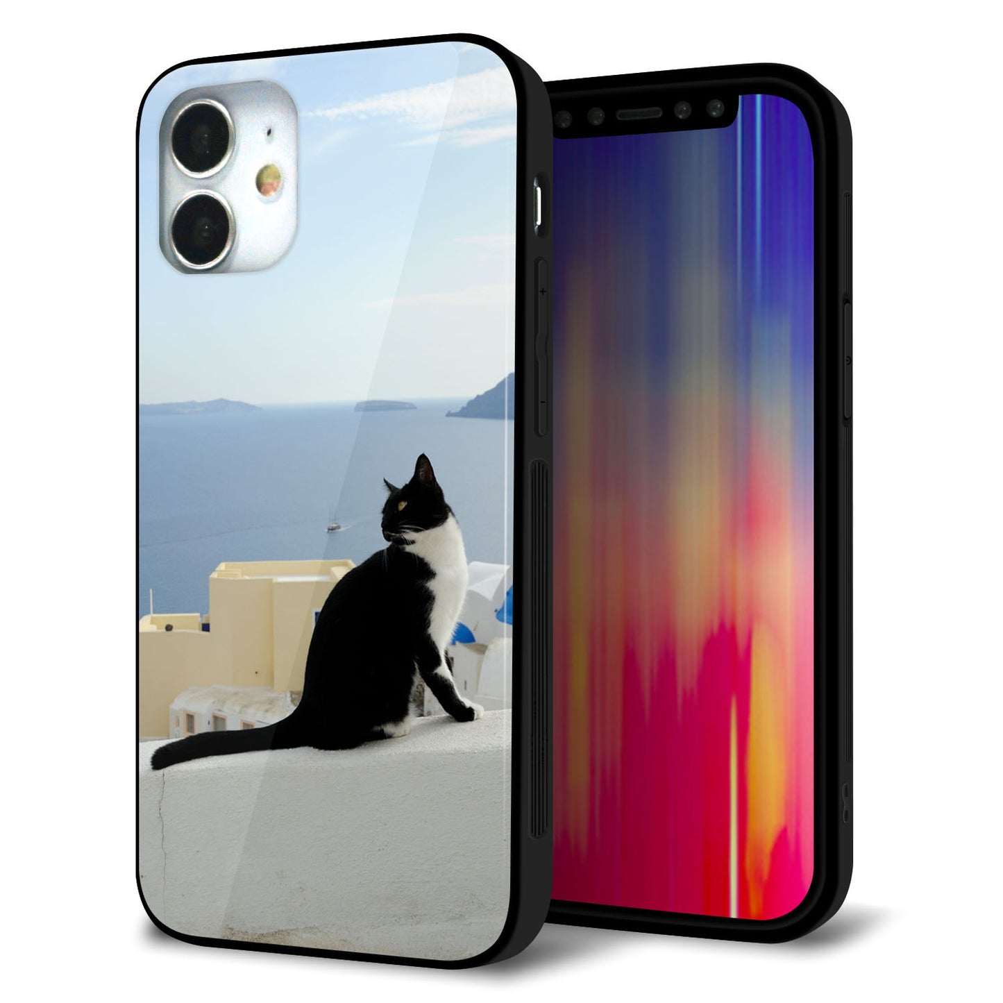 iPhone 12 mini 強化ガラス＆TPUスマホケース ガラプリ【VA805 ネコと地中海】