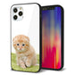 iPhone 12 Pro 強化ガラス＆TPUスマホケース ガラプリ【VA802 ネコこっそり】