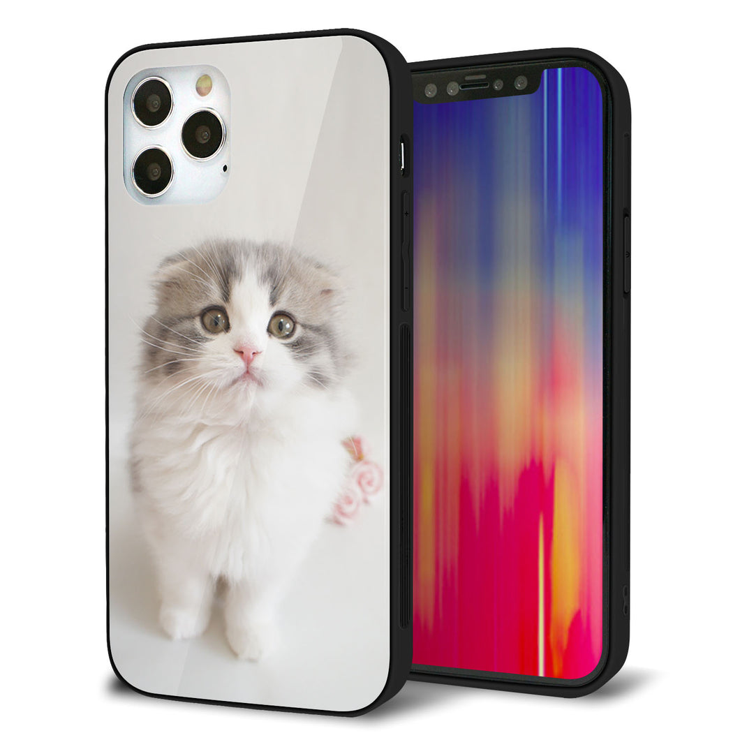 iPhone 12 Pro 強化ガラス＆TPUスマホケース ガラプリ【VA803 まっていますネコ】