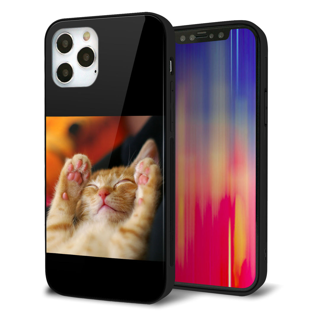 iPhone 12 Pro 強化ガラス＆TPUスマホケース ガラプリ【VA804 爆睡するネコ】