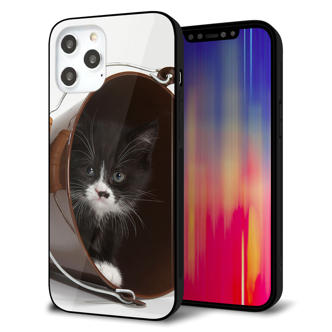 iPhone 12 Pro Max 強化ガラス＆TPUスマホケース ガラプリ【VA800 ネコとバケツ】
