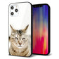 iPhone 12 Pro Max 強化ガラス＆TPUスマホケース ガラプリ【VA801 笑福ねこ】
