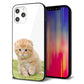 iPhone 12 Pro Max 強化ガラス＆TPUスマホケース ガラプリ【VA802 ネコこっそり】