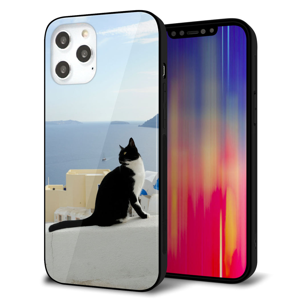 iPhone 12 Pro Max 強化ガラス＆TPUスマホケース ガラプリ【VA805 ネコと地中海】