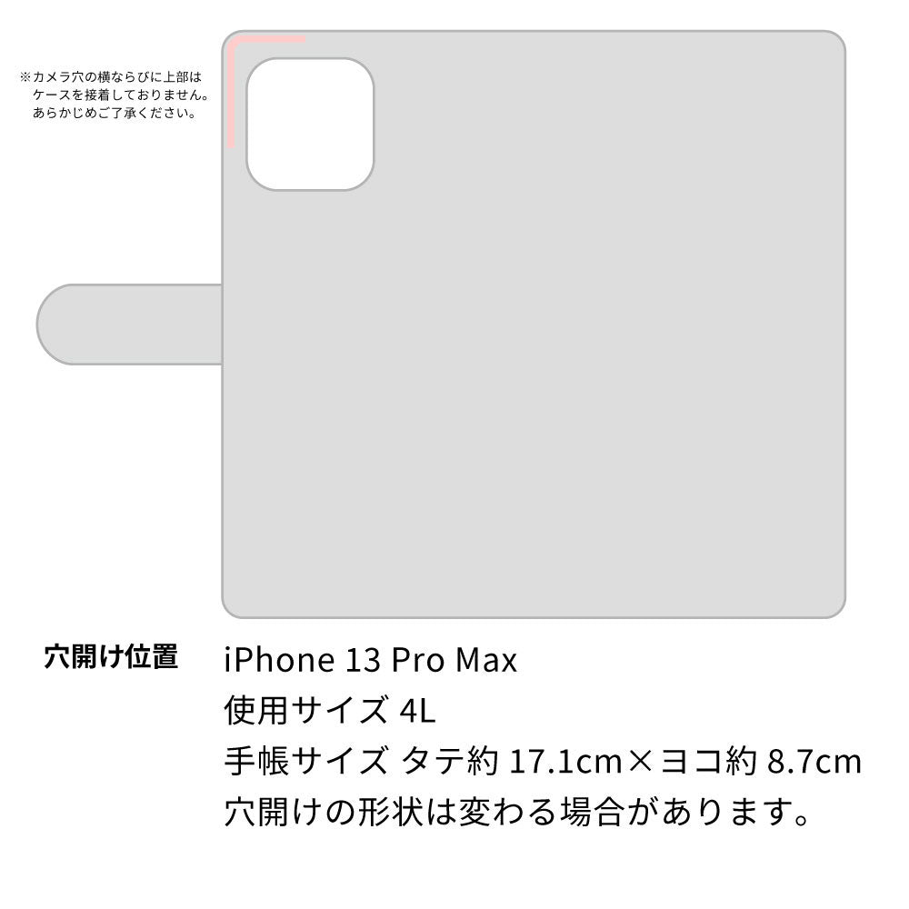 iPhone 13 Pro Max スマホショルダー 【 手帳型 Simple 名入れ 長さ調整可能ストラップ付き 】 耐衝撃