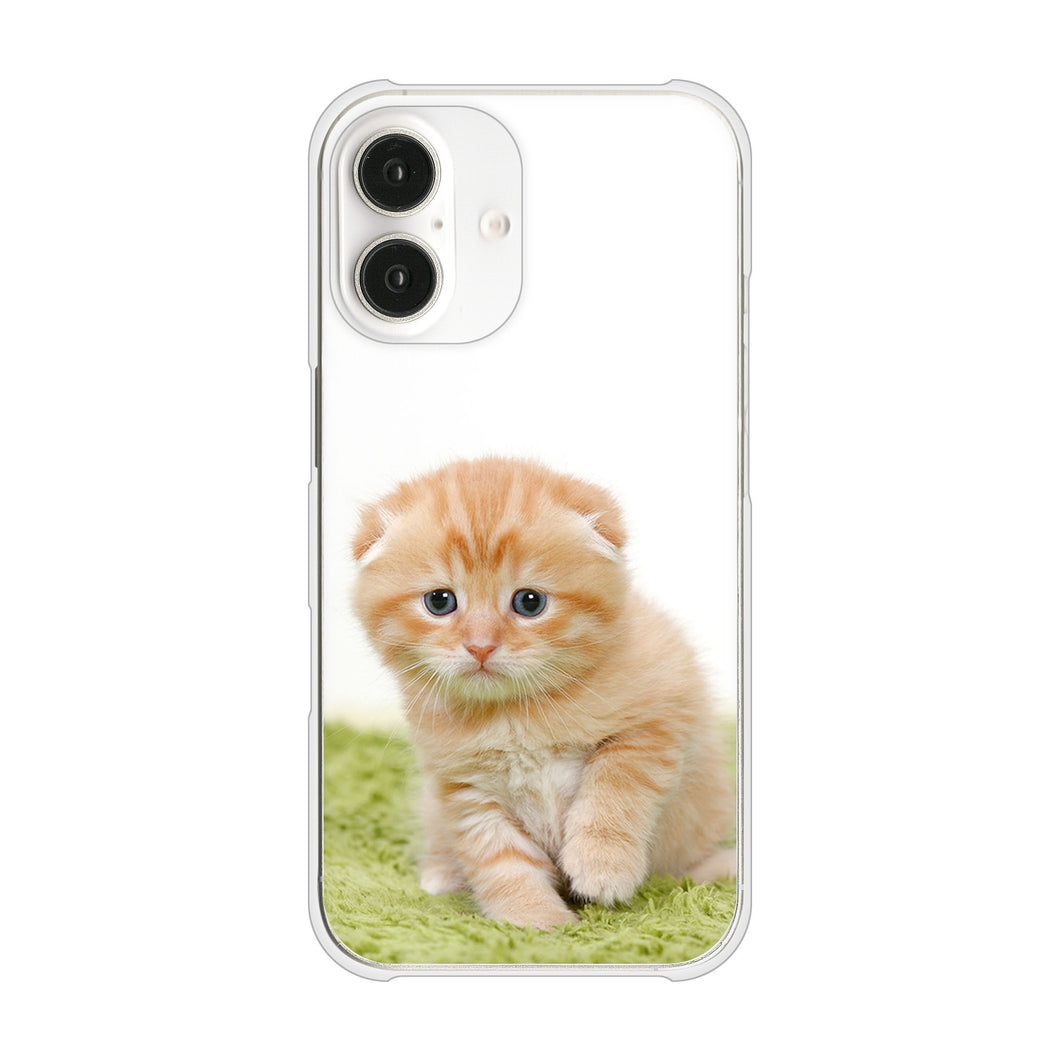 iPhone 16 VA802 ネコこっそり ハードケース 背面印刷