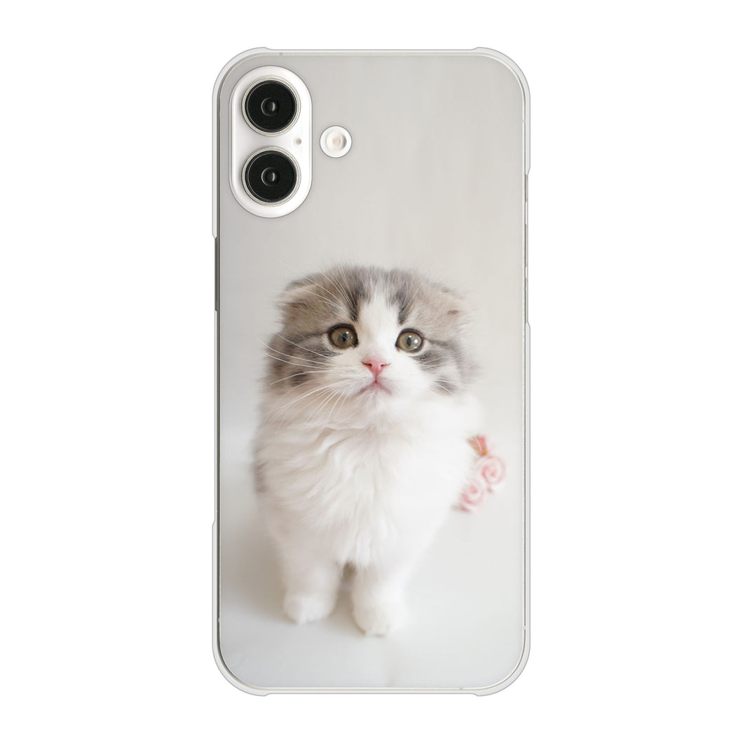 iPhone 16 Plus VA803 まっていますネコ ハードケース 背面印刷
