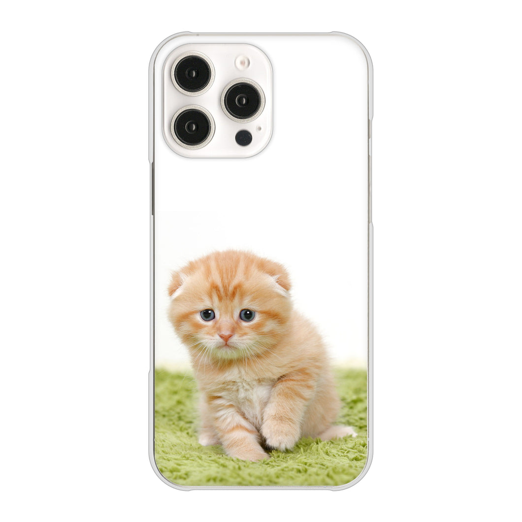 iPhone 16 Pro Max VA802 ネコこっそり ハードケース 背面印刷