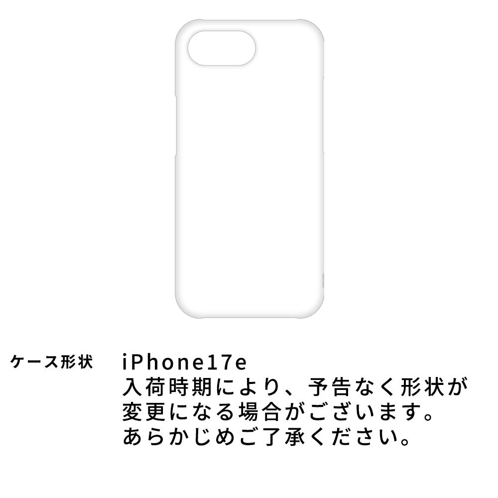 iPhone17e CAMHIDE カメラ穴のない MagSafe対応 手帳型ケース