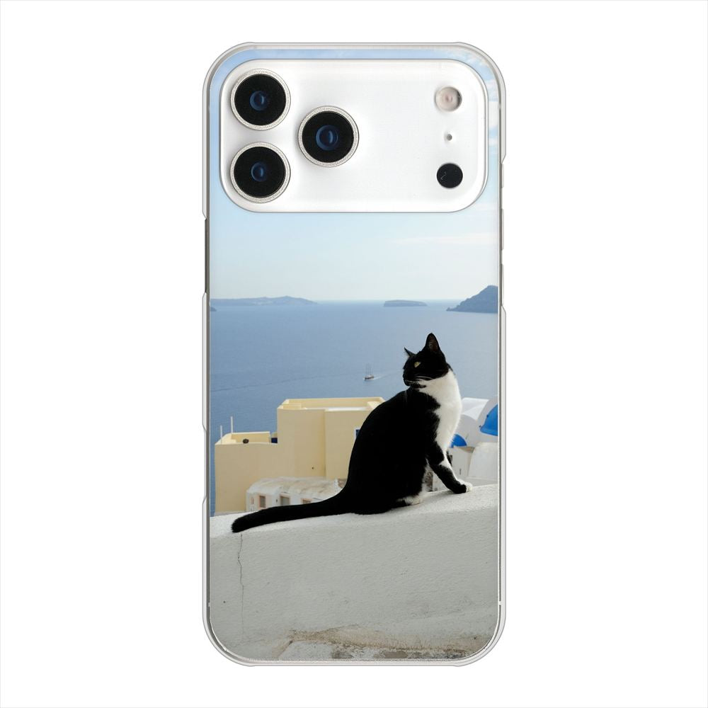 iPhone 18 Pro Max 高画質仕上げ 背面印刷 ハードケース 【VA805 ネコと地中海】