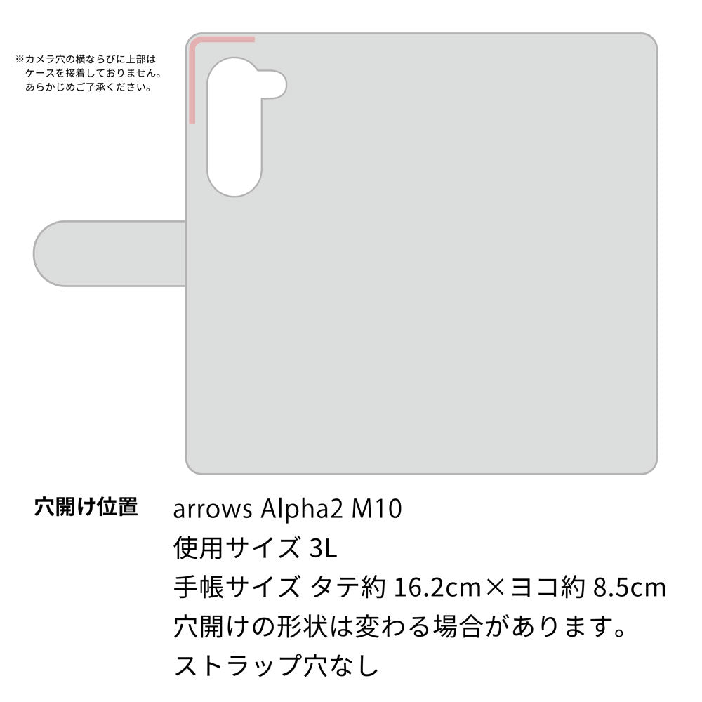 arrows Alpha2 M10 ビニール素材のスケルトン手帳型ケース　クリア