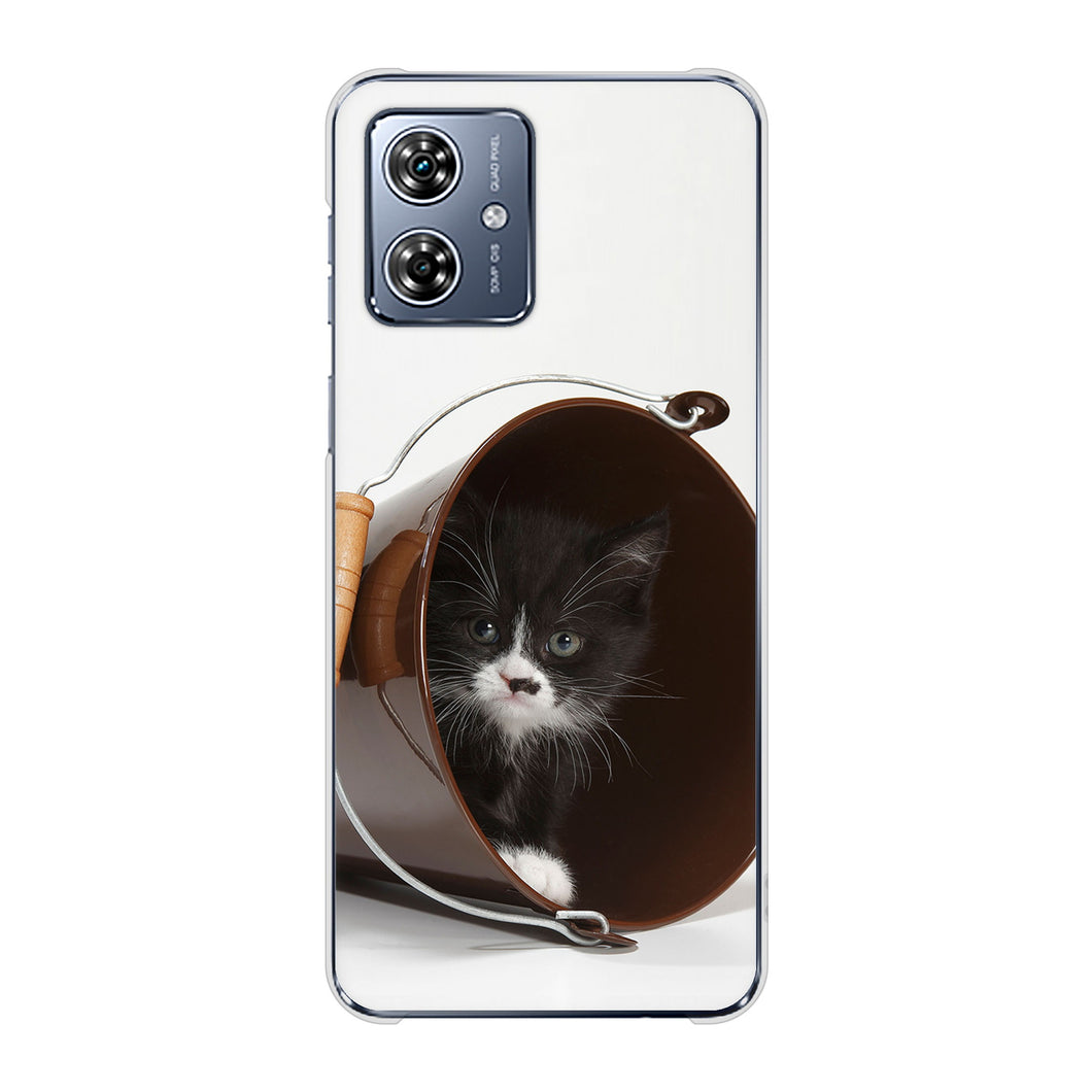 moto g64 5G VA800 ネコとバケツ ハードケース 背面印刷