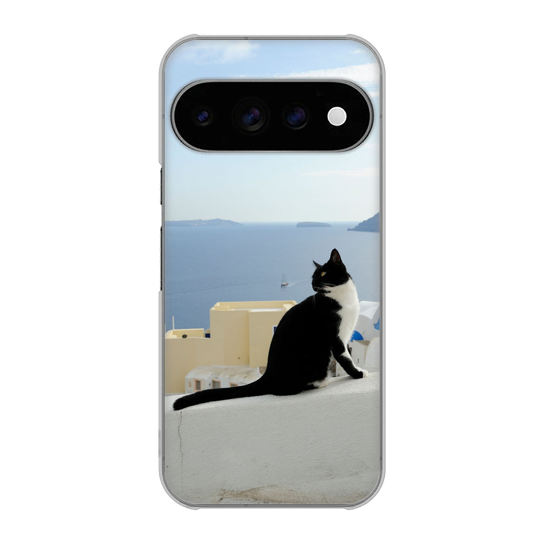 Google Pixel 11 Pro VA805 ネコと地中海 ハードケース 背面印刷